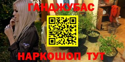 прущие крисы Камышлов