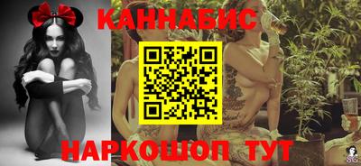 прущие крисы Камышлов