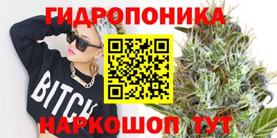 PSILOCYBIN Канаш