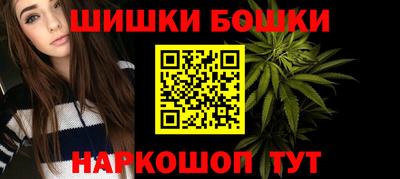 прущие крисы Камышлов